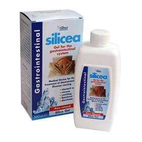 Silicea Gastrointestinal Gel 500ml -  - Buy Online