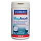 Lamberts MagAsorb