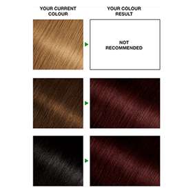 Garnier Nutrisse Creme Deep Reddish Brown 3.6