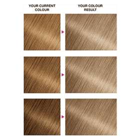 Garnier Nutrisse Creme Light Blonde 9