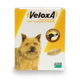 Veloxa Chewable Worm Treatment Tablets Beef  4