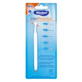 Wisdom InterProximal Handle And Brush Heads