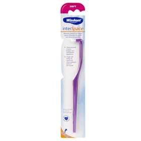 Wisdom InterSpace Brush