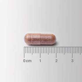 Lamberts Cogni-Focus Capsules 30