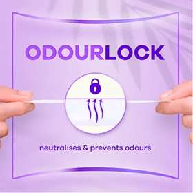 Always Daily Protect XL Panty Liners 24