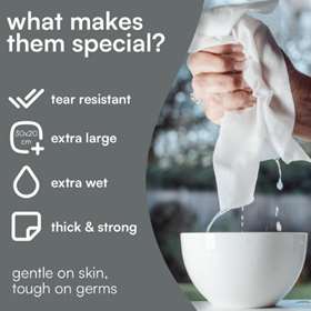 Fresh Rinse Free Antibacterial  Fragrance Free Body Wipes 12